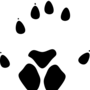 suz76c7.png