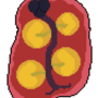 womb_nest.png