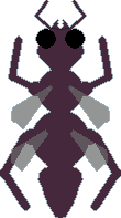 yih_insect2.png