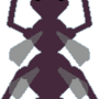 yih_insect2.png