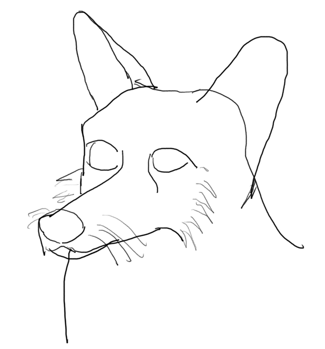 yinrih_head_sketch.png