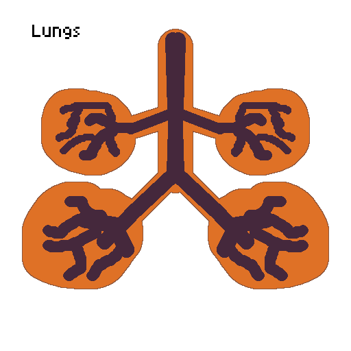 File:Lungs.png