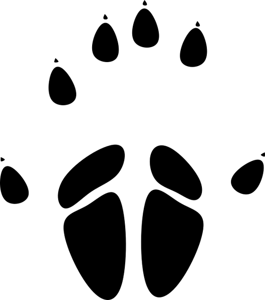 File:Loqzqx8.png