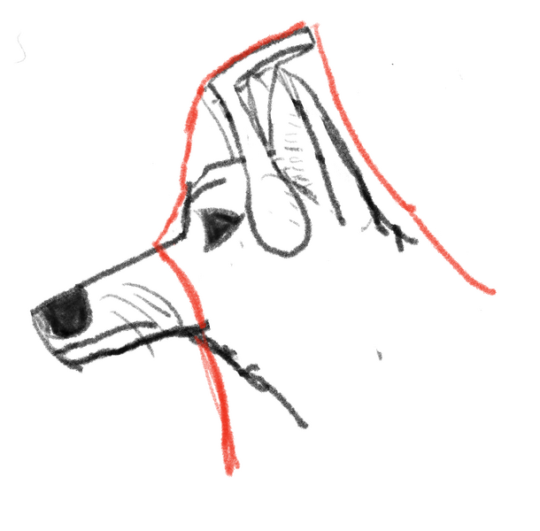 File:Pl1ndbg.png